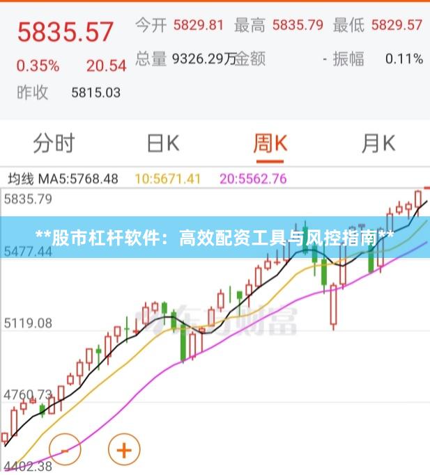 **股市杠杆软件：高效配资工具与风控指南**